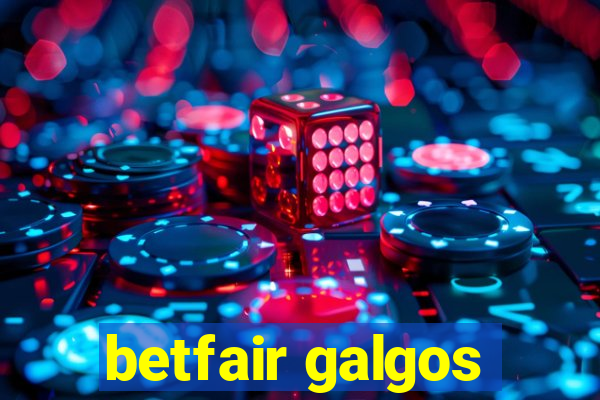 betfair galgos